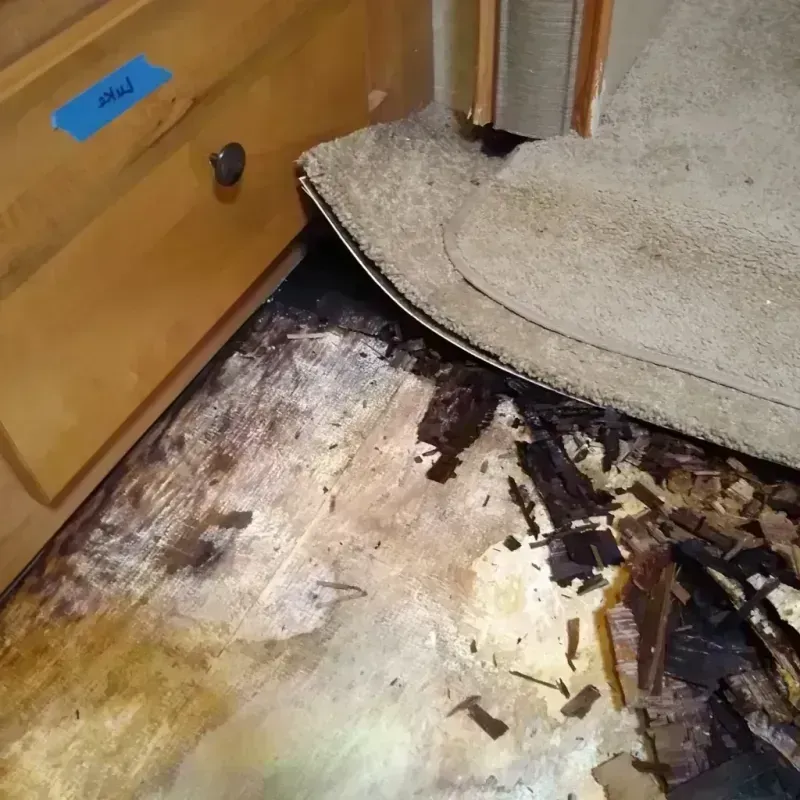 Wood Floor Water Damage in Cheyenne Wells, CO